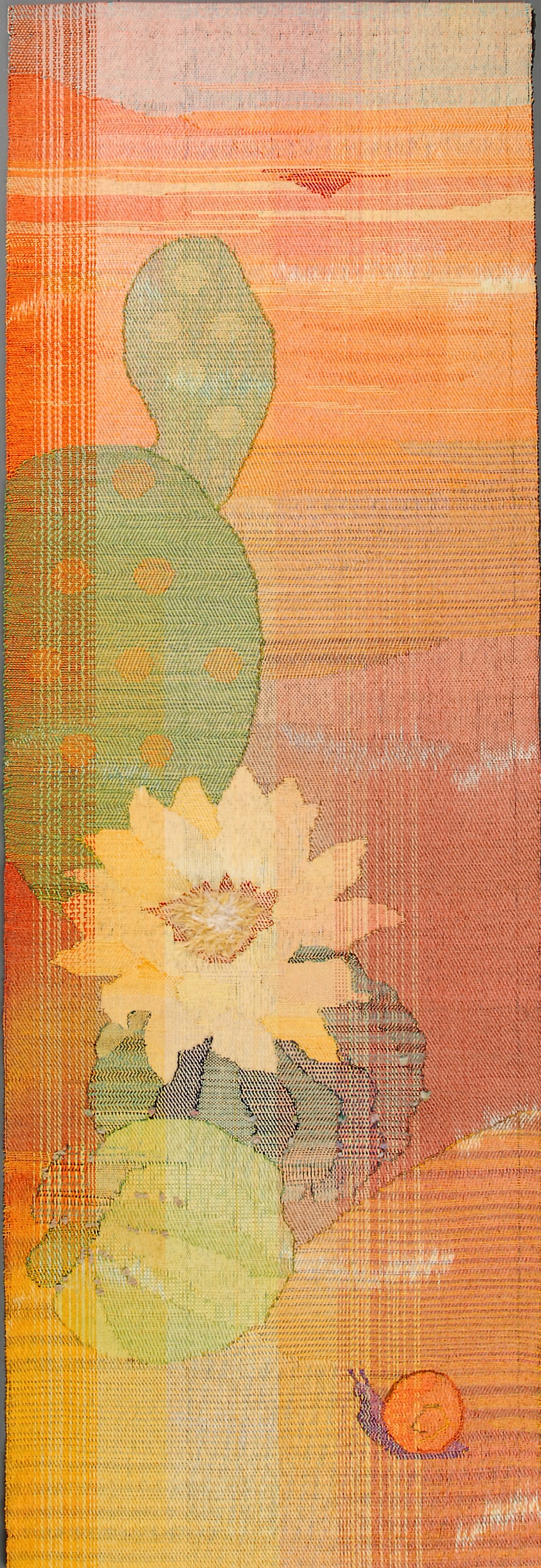 B048沙漠綠意_全圖