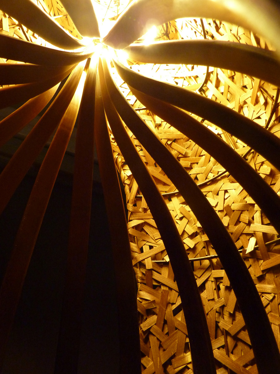 2010B080-2